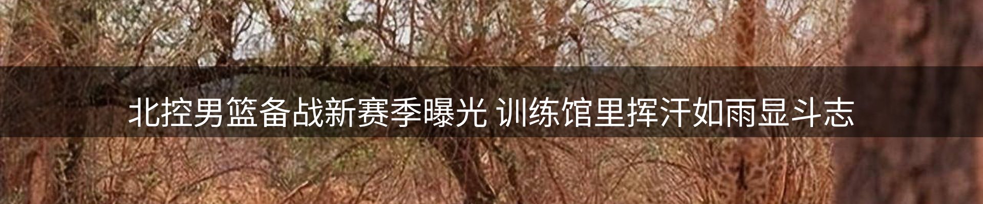 最新资讯