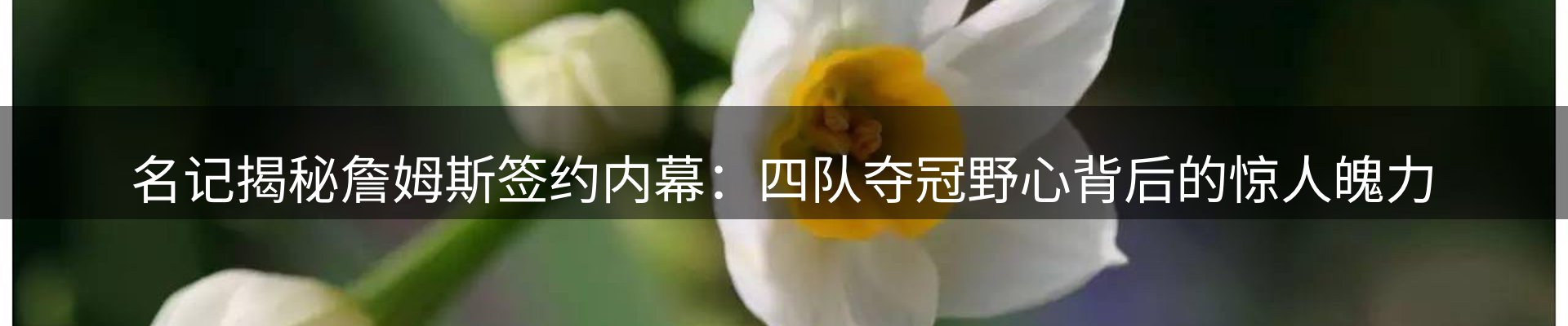 最新资讯
