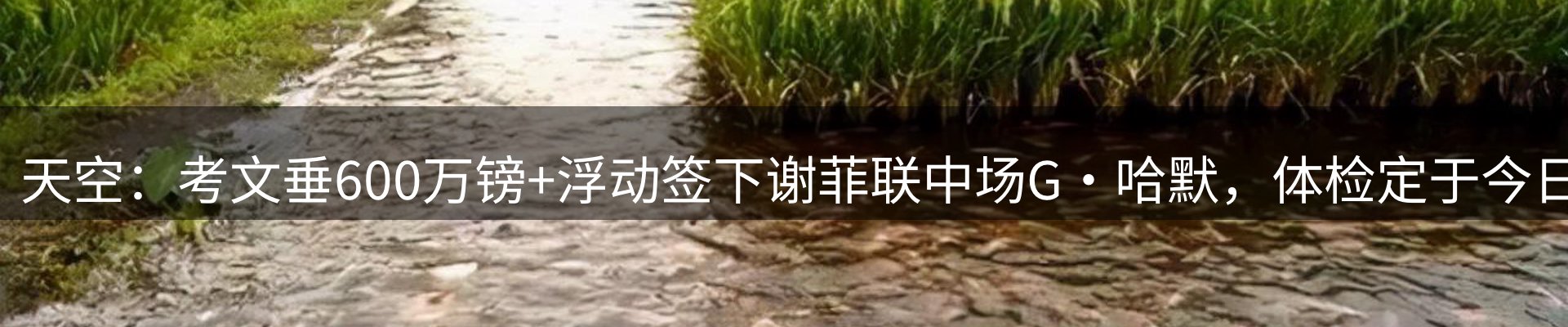 最新资讯