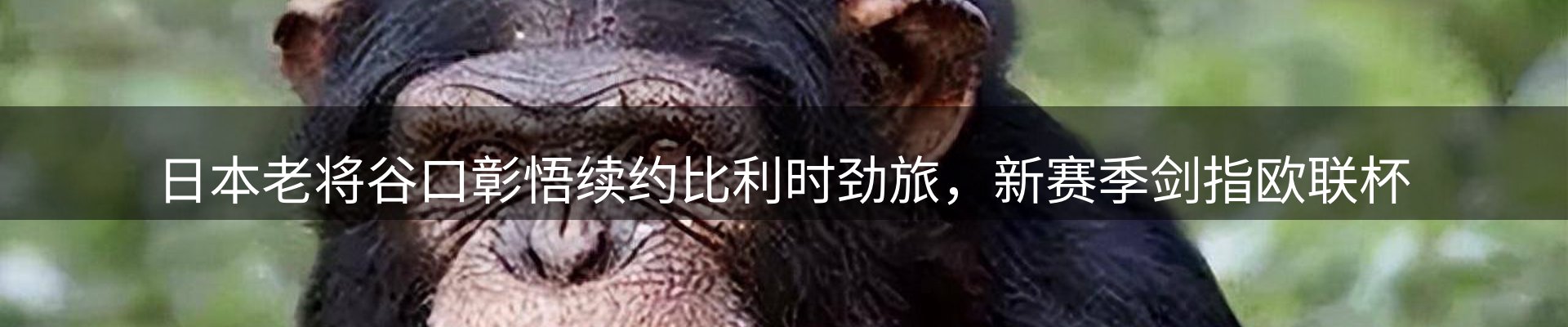 最新资讯