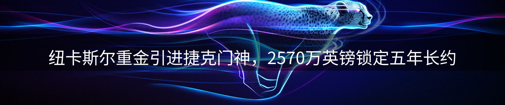 最新资讯