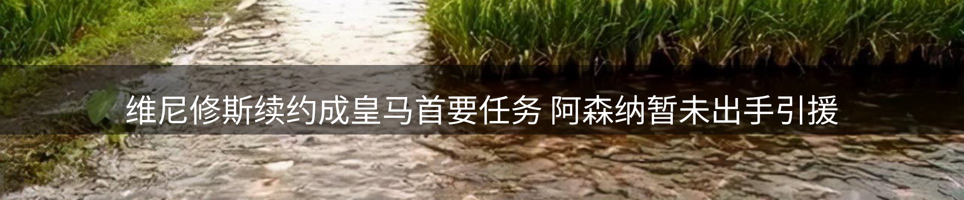 最新资讯