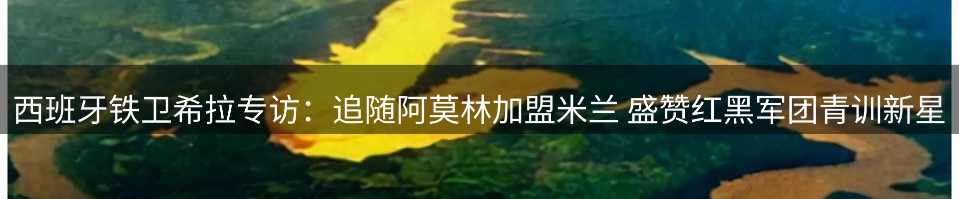 最新资讯