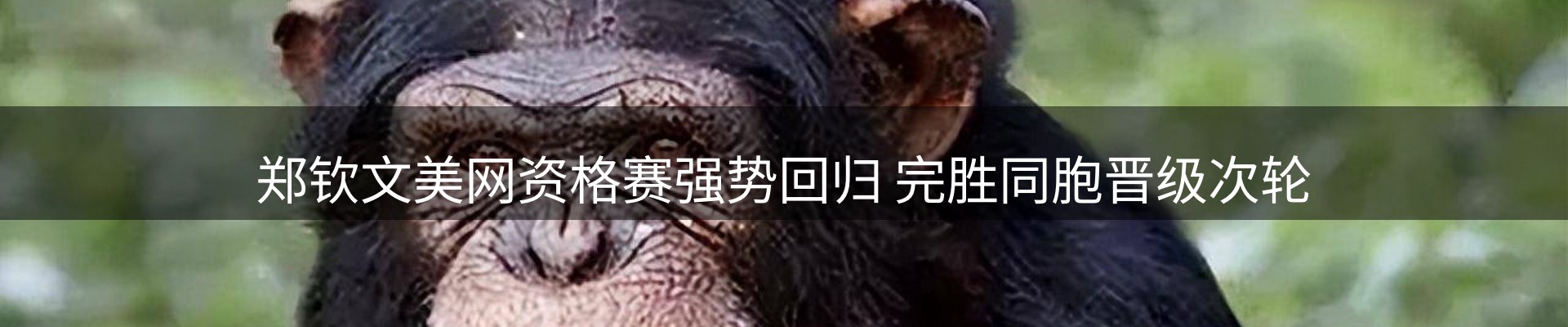 最新资讯